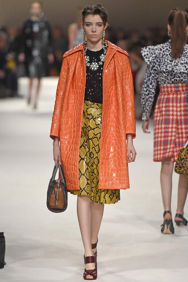 Fall Miu Miu  Paris Collection