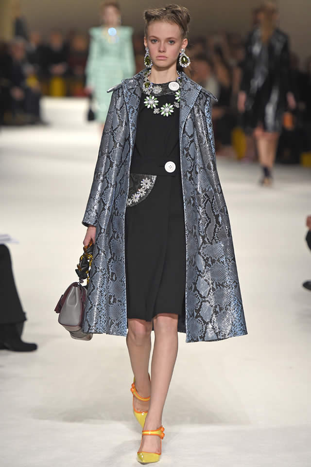 2015 Latest Miu Miu  Fall Collection
