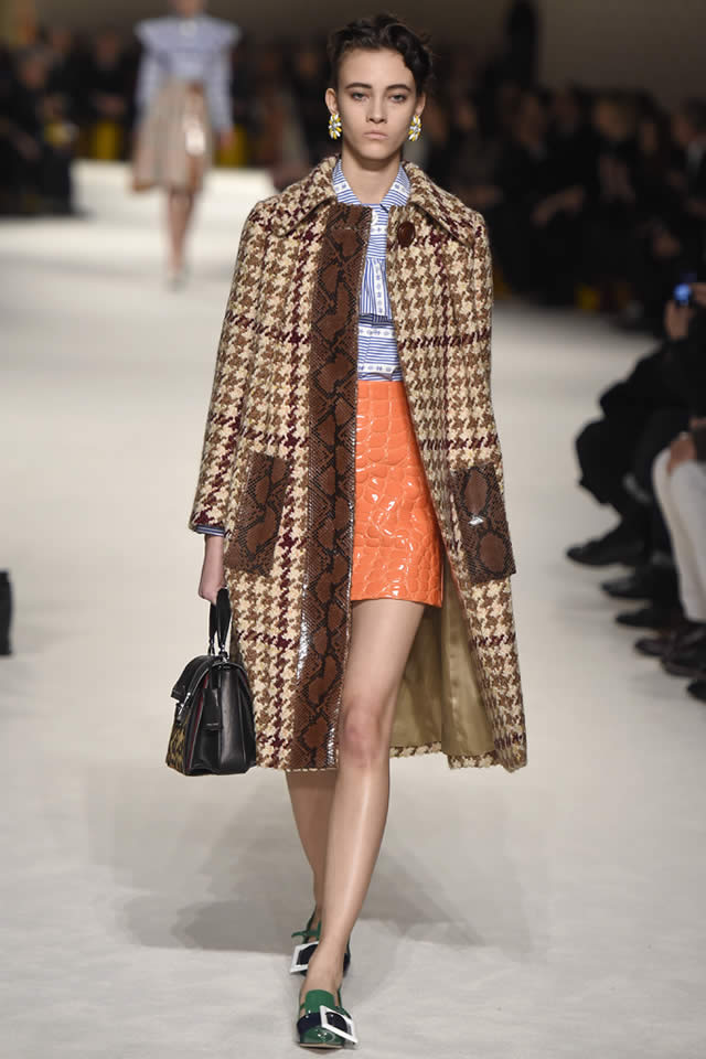 Miu Miu  Paris Fall Collection