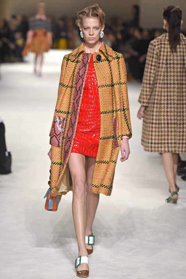 Miu Miu  Latest Paris 2015 Fall Collection