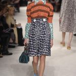 Paris Fall Miu Miu  Latest Collection
