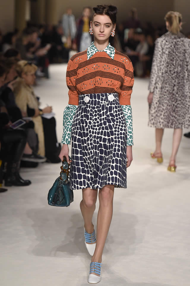 Paris Fall Miu Miu  Latest Collection