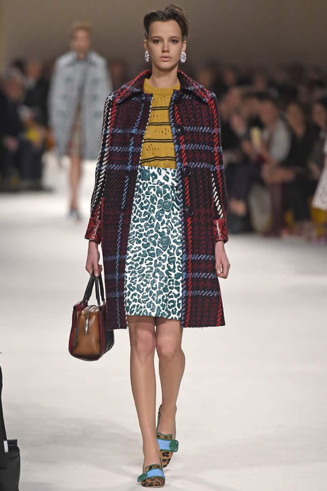 Miu Miu  Latest Paris Collection