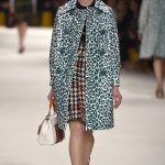 Paris Latest Miu Miu  2015 Collection