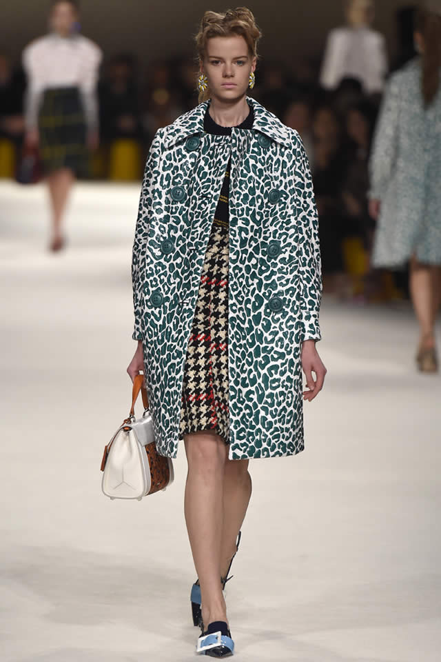 Paris Latest Miu Miu  2015 Collection