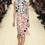 2015 Nina Ricci Latest Collection