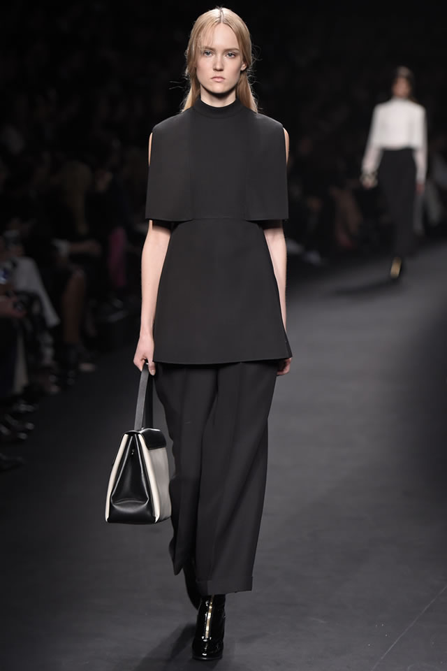 Valentino  Fall Paris 2015 Collection