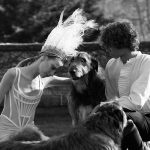 Vera Wang Spring Bridal   Collection