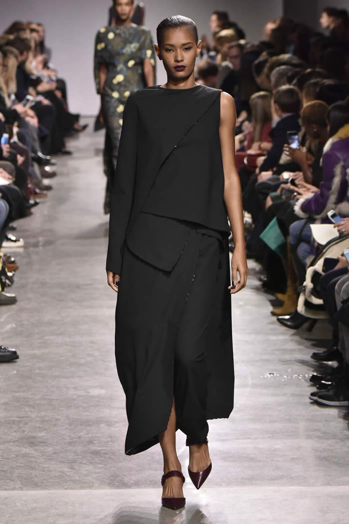 Latest Collection Fall RTW  2016 by Zac Posen