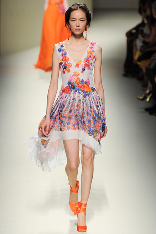 2014 latest Alberta Ferretti Spring Milan Collection