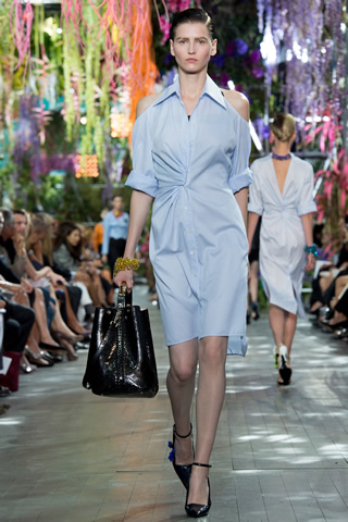 Christian Dior 2014 Spring Paris Collection