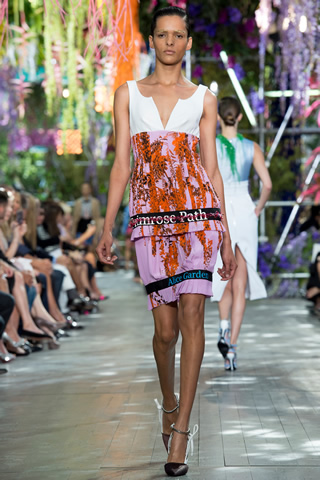 Christian Dior 2014 Paris Collection