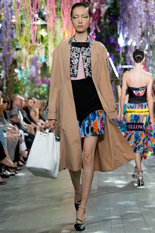 Paris Christian Dior 2014 Collection
