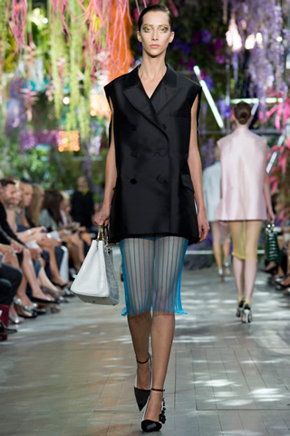 Paris 2014 Spring Christian Dior Collection