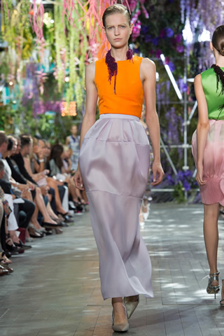 2014 latest Christian Dior Paris Collection
