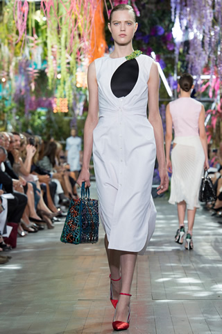 Christian Dior Paris Spring 2014 Collection