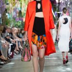 Spring 2014 Christian Dior Paris Collection