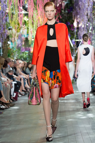Spring 2014 Christian Dior Paris Collection