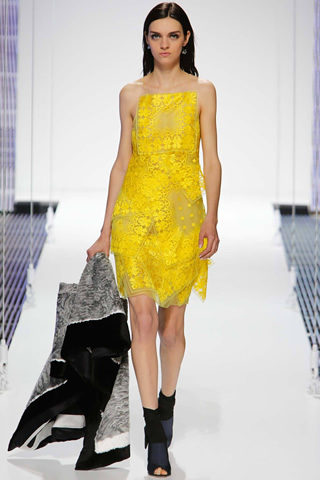 Christian Dior 2015 New York Collection