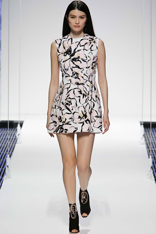 2015 New York Christian Dior Collection