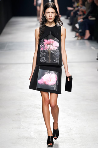 2014 Autumn/Winter Christopher Kane Collection