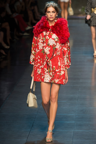 2014 latest Dolce & Gabbana Milan Collection