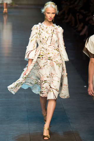 Dolce & Gabbana Milan 2014 Spring Collection
