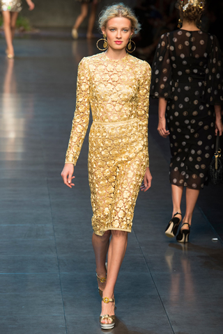Spring 2014 Dolce & Gabbana Collection