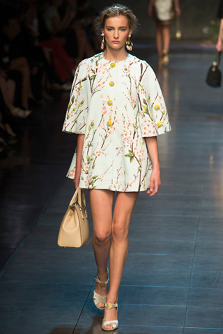 Milan Dolce & Gabbana 2014 latest Spring Collection