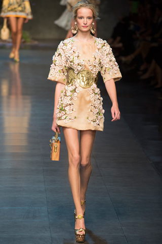 Spring Milan Dolce & Gabbana 2014 Collection