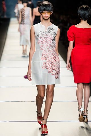 Fendi 2014 Milan Spring Collection