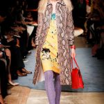 2014 Miu Miu Paris Collection