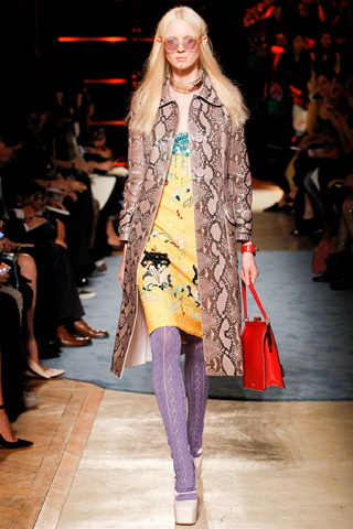 2014 Miu Miu Paris Collection