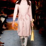 2014 Paris Miu Miu Collection