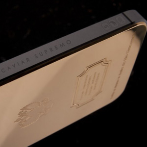 Gold-plated Vladimir Putin iPhone 5S