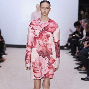 2014 Fall Trends - Coming Up Roses