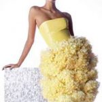 Dewi Driegen Collection