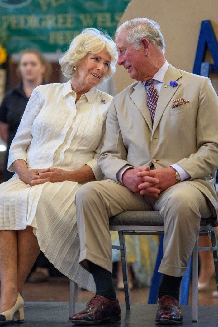 Prince Charles and Camillas wedding anniversary picture sla image
