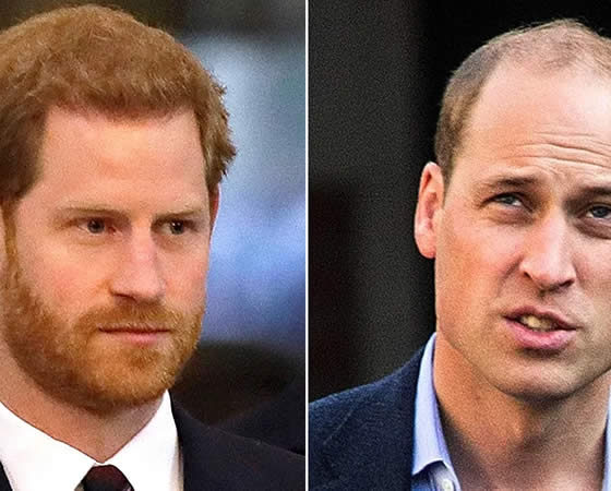 Prince William Prince Harry