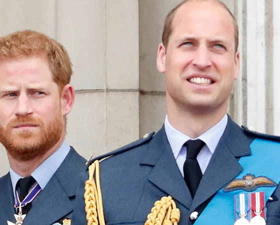 Princes William, Harry