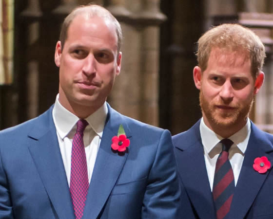 Prince William & Prince Harry