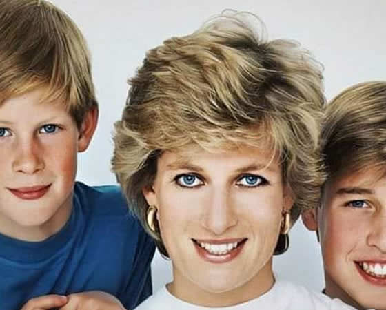 Photo of William and Harry ‘was placed in Princess Diana