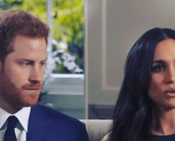 Prince Harry And Meghan Admit Truth About Purchase They Made