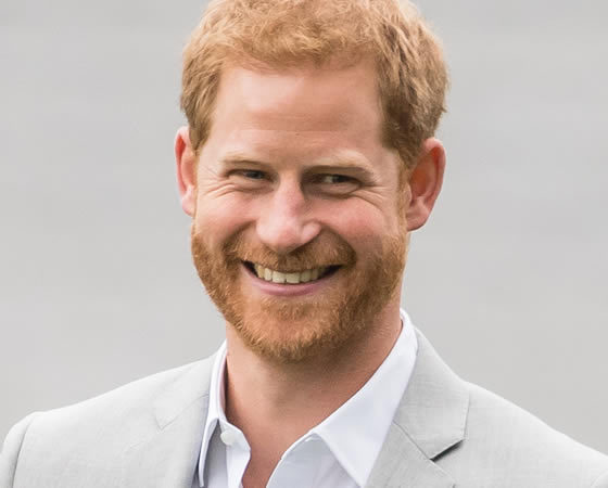 Prince Harry loses supporters