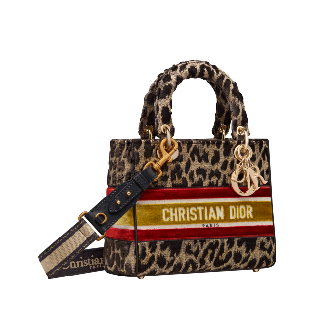 A Lady Dior bag in the Mizza print