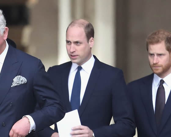 William and Charles told public racism not limited to Oprah interview
