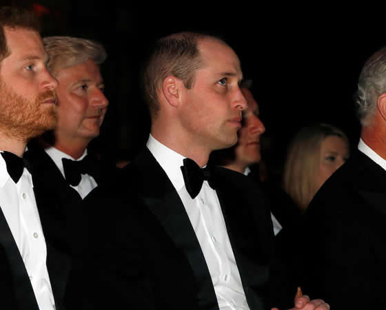 prince harry prince william prince charles