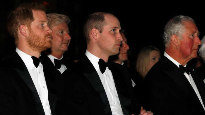 prince harry prince william prince charles