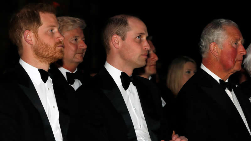 prince harry prince william prince charles