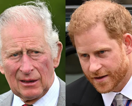 Prince Harry and Prince Charles images